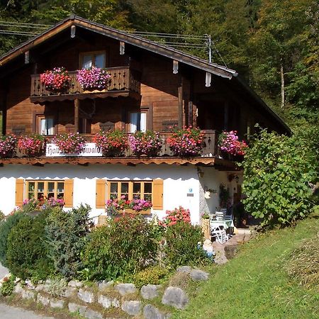 Haus Buchenwald Lägenhet Ramsau bei Berchtesgaden Exteriör bild