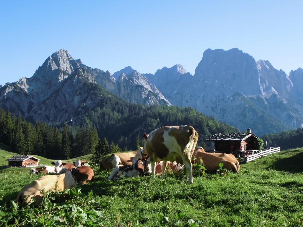Haus Buchenwald Lägenhet Ramsau bei Berchtesgaden Exteriör bild